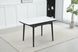 Стол Обеденный ASKOLD CERAMIC Snow White Matt Bjorn 120(160)х80 Белый Эффект Мрамора