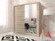 Шафа-купе Perfect Home Мая I / Maja I 200 2-дверна з дзеркалом Дуб сонома жива фотографія