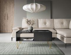 Стіл журнальний Perfect Home Гармоні / Harmony з 2 ящиками та золотими ніжками L97 Чорний/чорний мармур роял жива фотографія