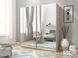 Шкаф-купе Perfect Home Мика III / Mika III 200 2-дверный с зеркалом Дуб сонома реальная фотография